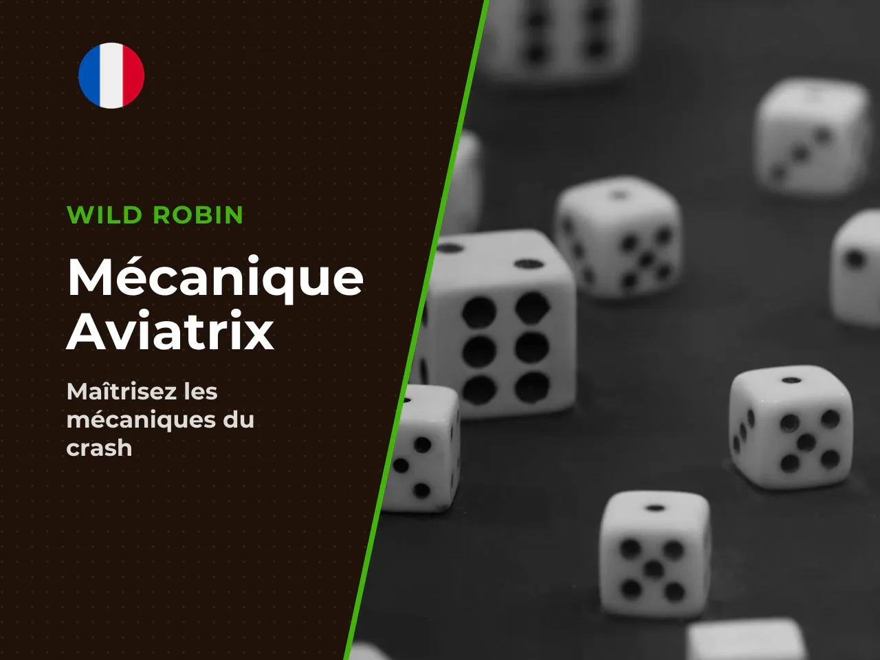 Dynamique du plane, interface et vérifiabilité