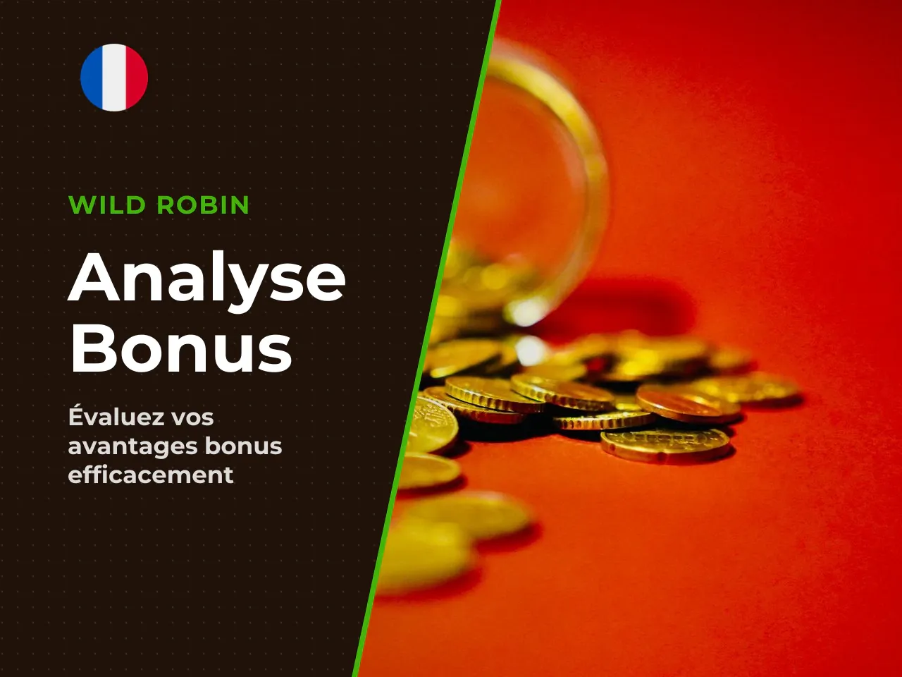 Que regarder dans un bonus proposé