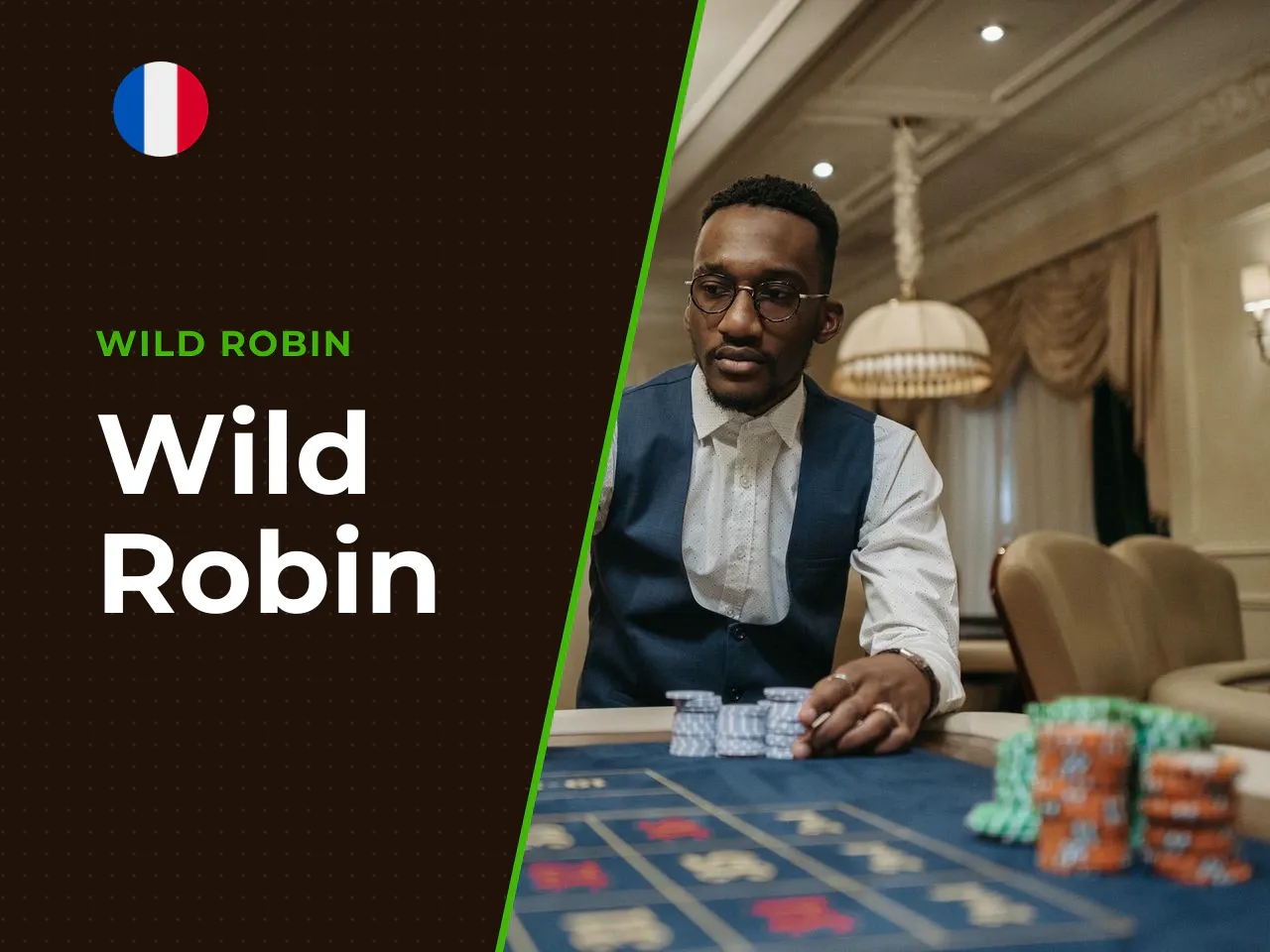 Wild Robin heading-banner