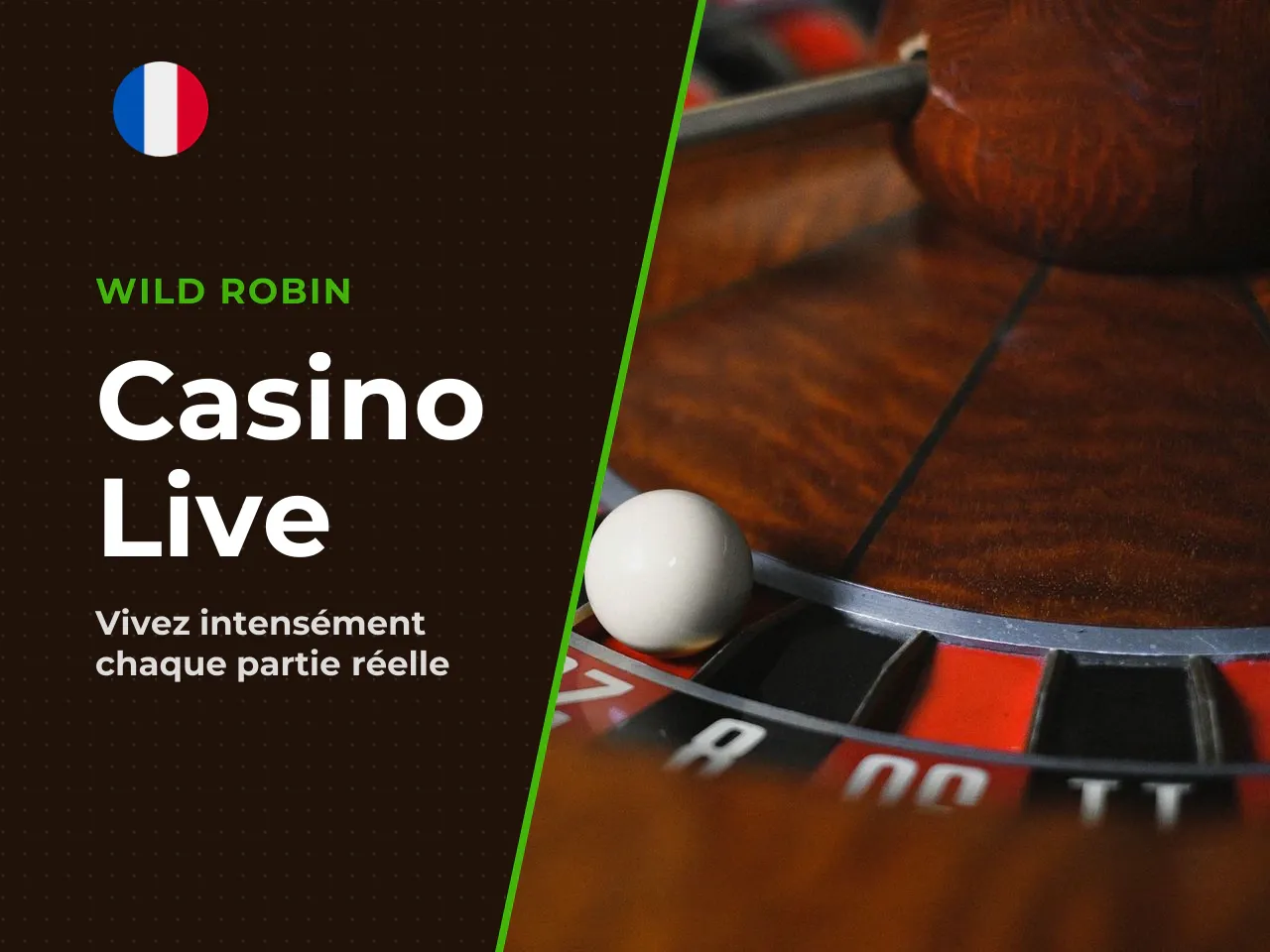 Casino live et expérience en direct