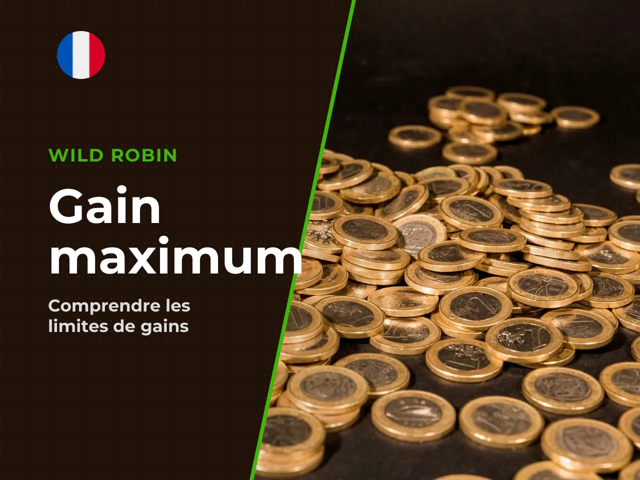 6.4 Gain maximum x10 000 ou
