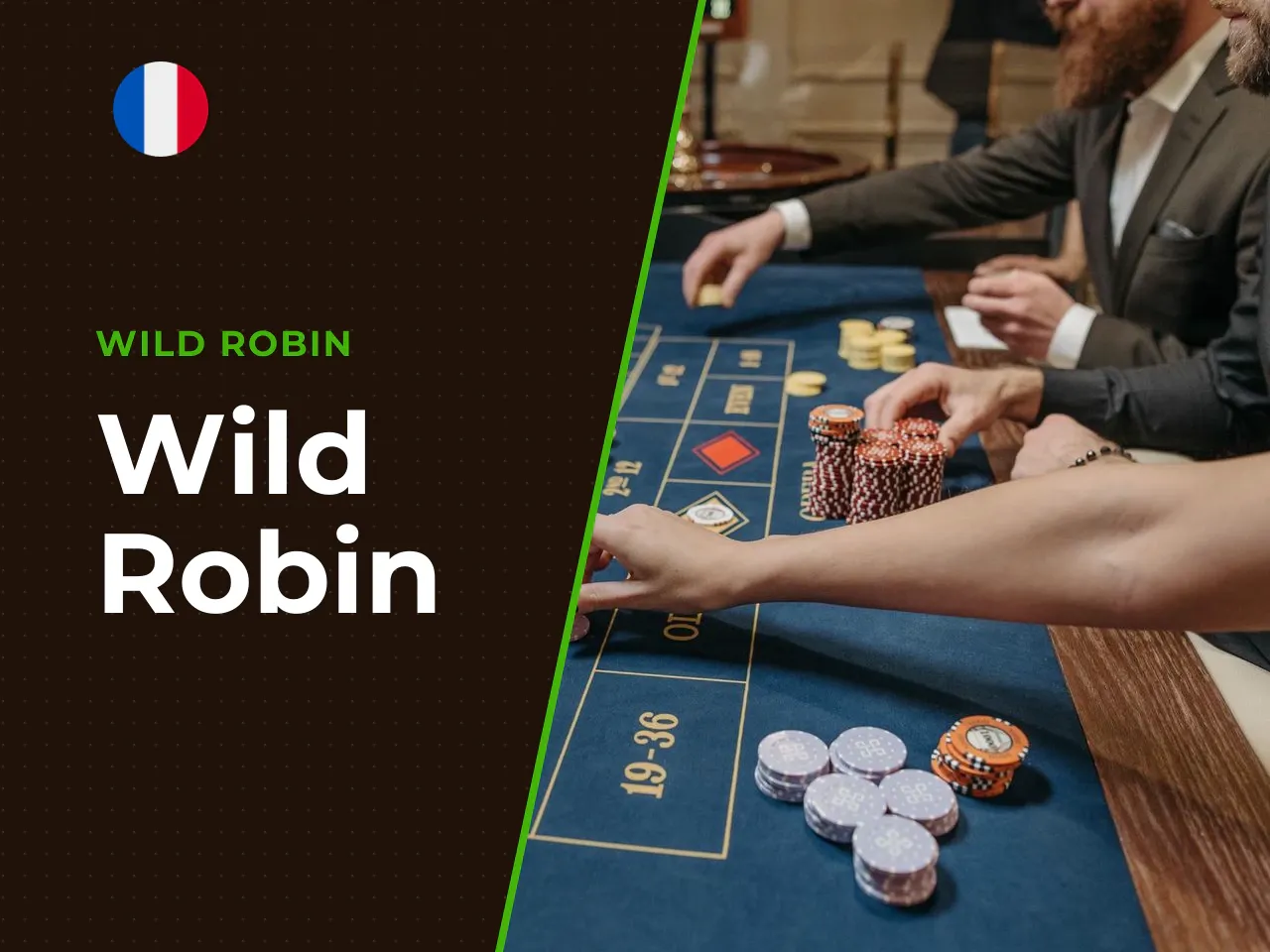 Wild Robin heading-banner