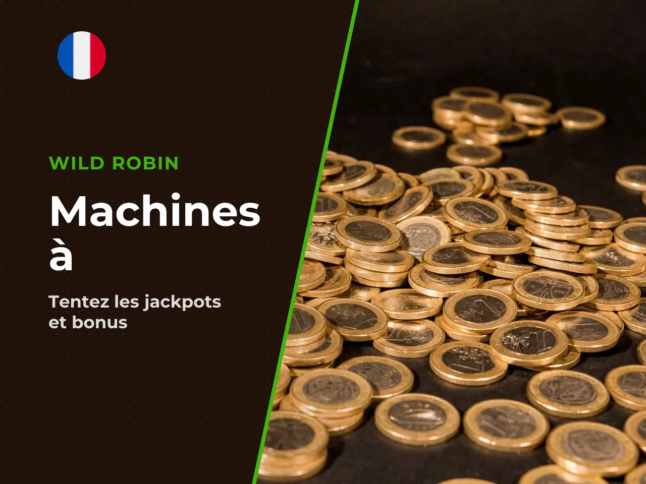 Points forts pour les amateurs de