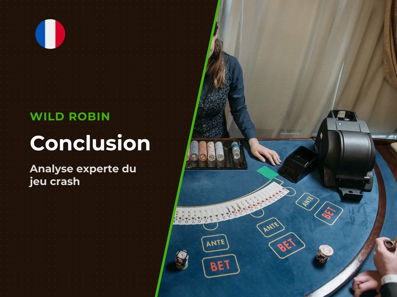 12. Conclusion. Aviatrix est un crash