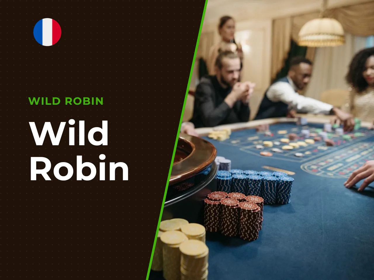 Wild Robin heading-banner