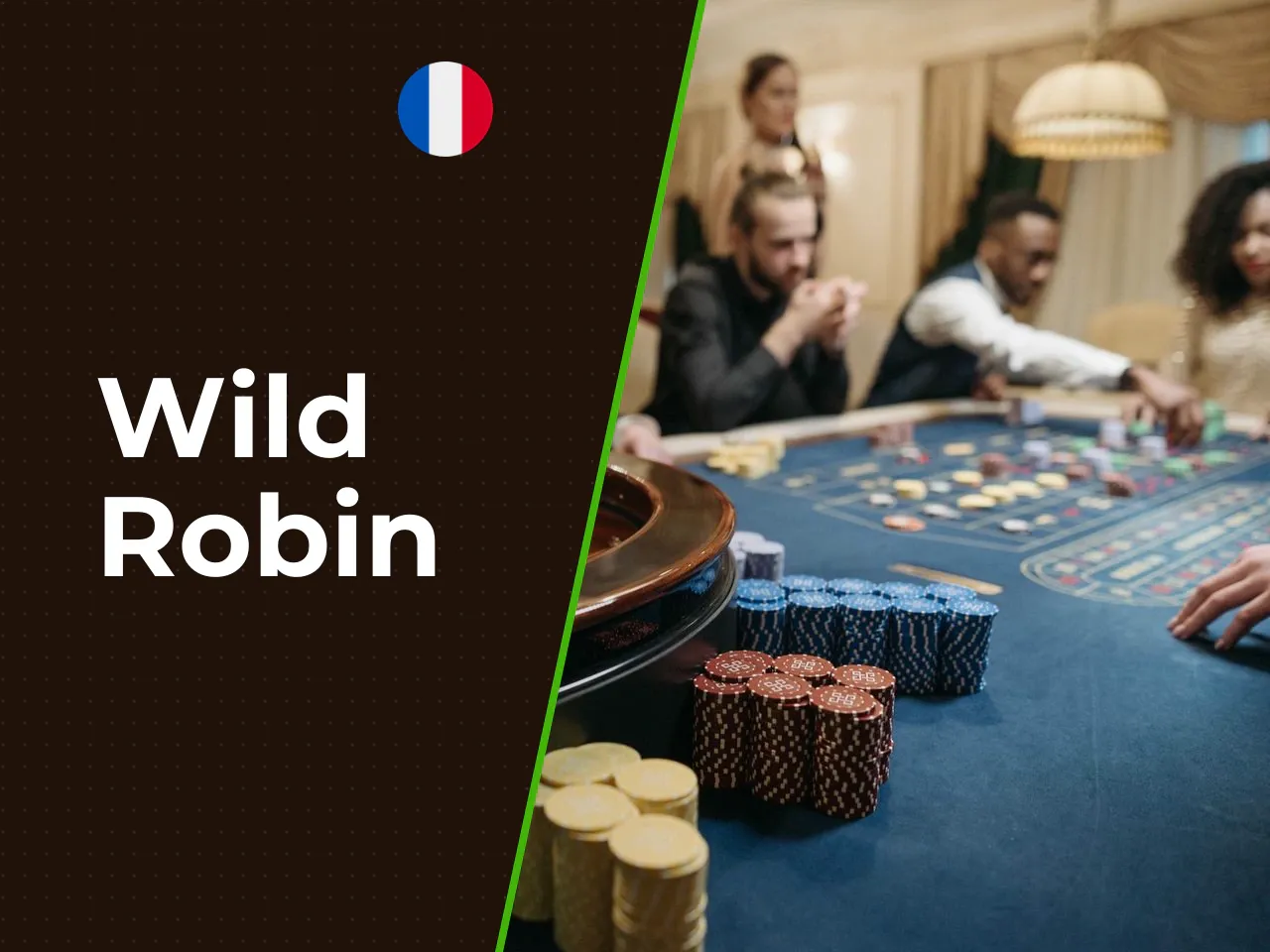 Wild Robin heading-banner