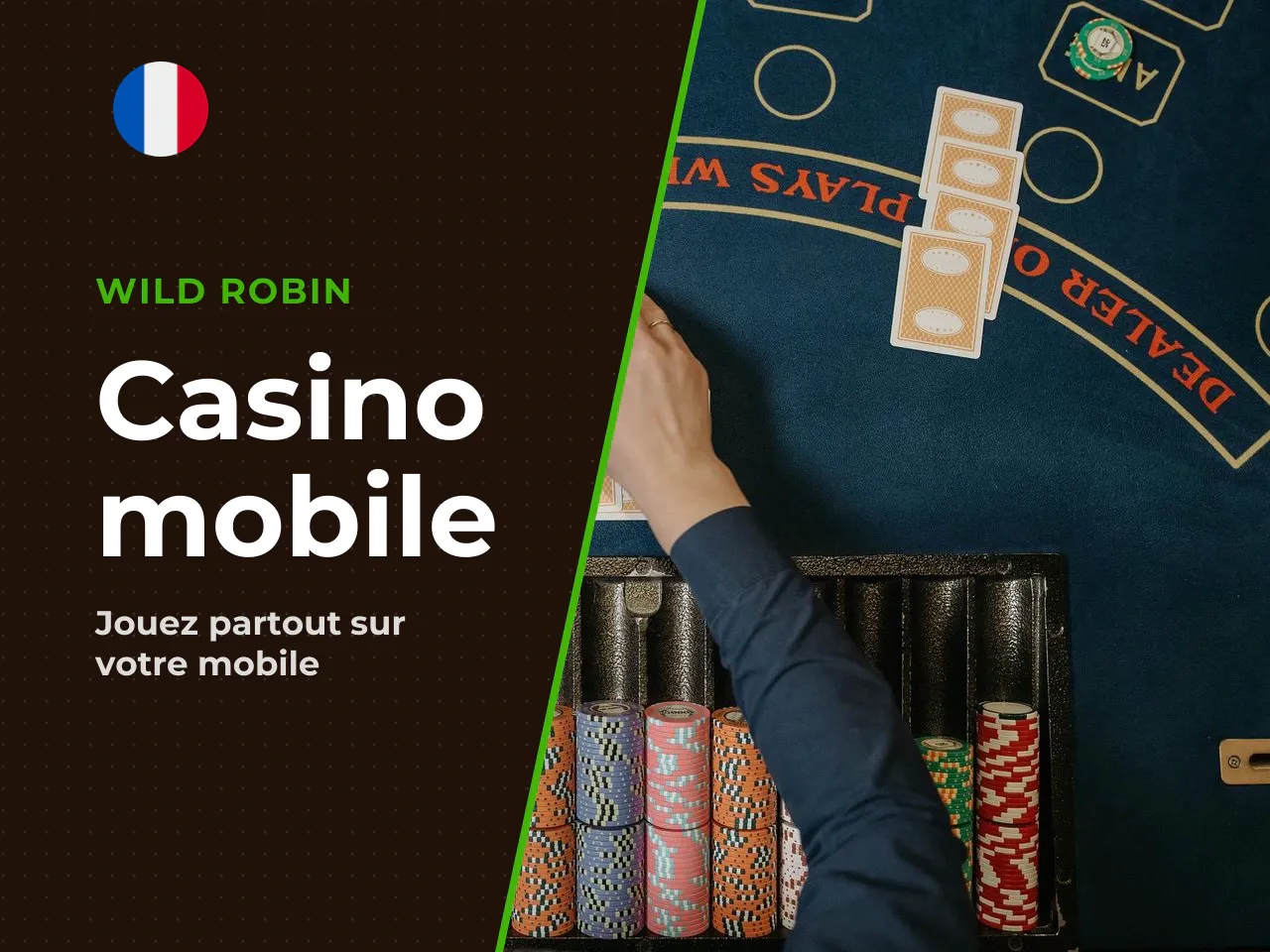 9.1 Expérience Wild Robin Casino sur