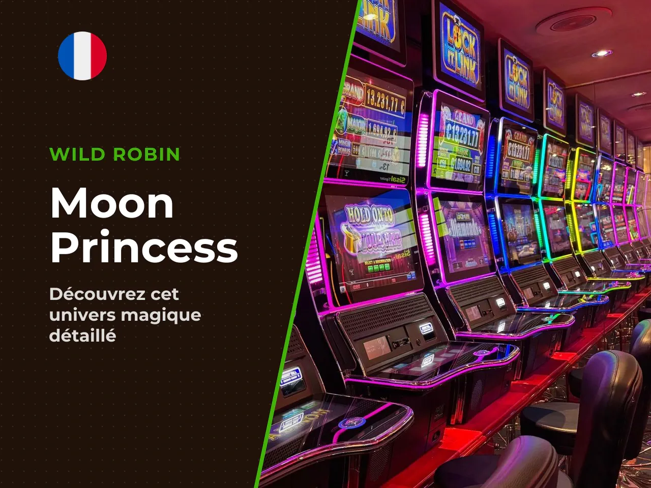 Qu'est-ce que le jeu Moon Princess