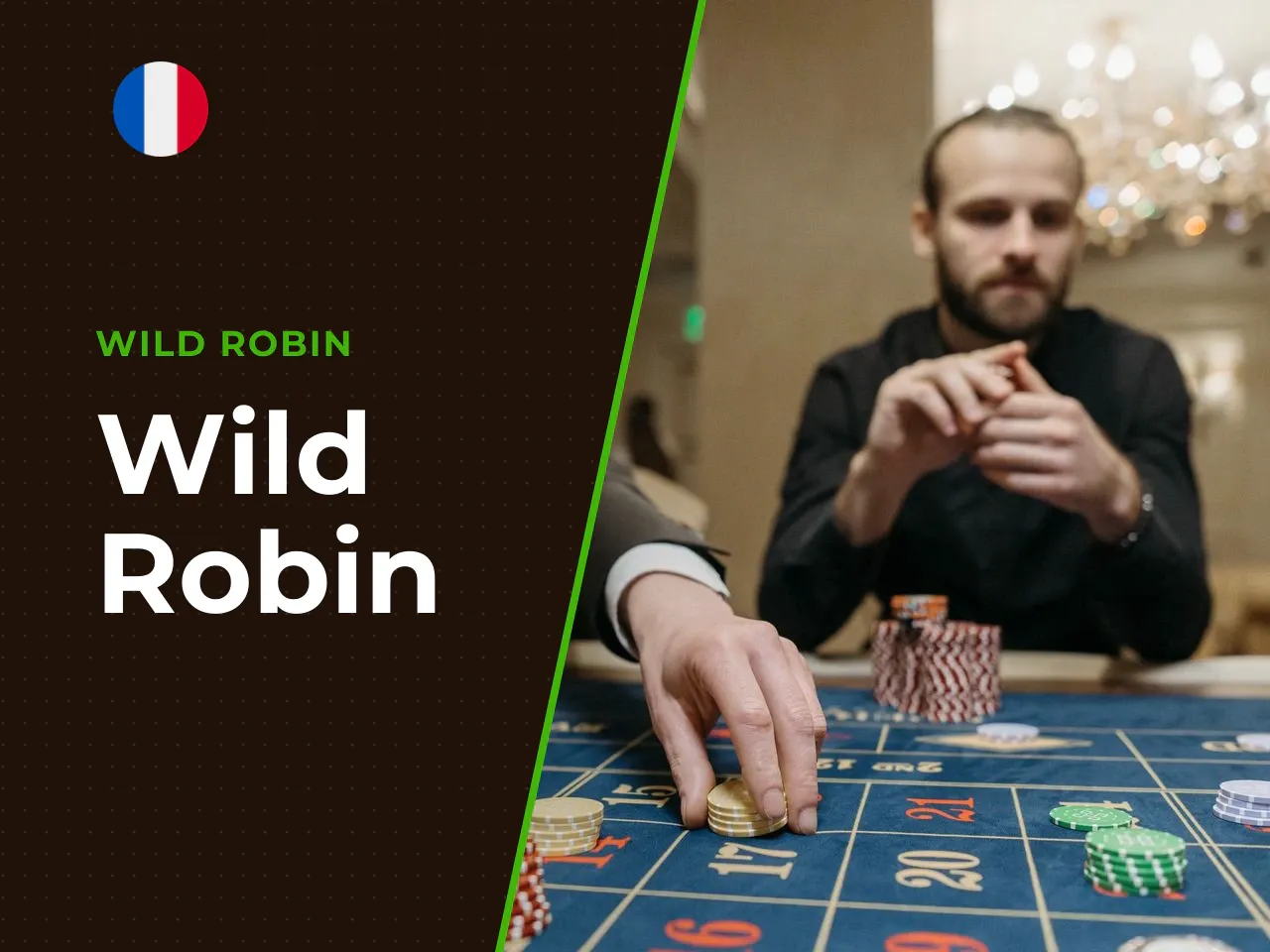 Wild Robin heading-banner