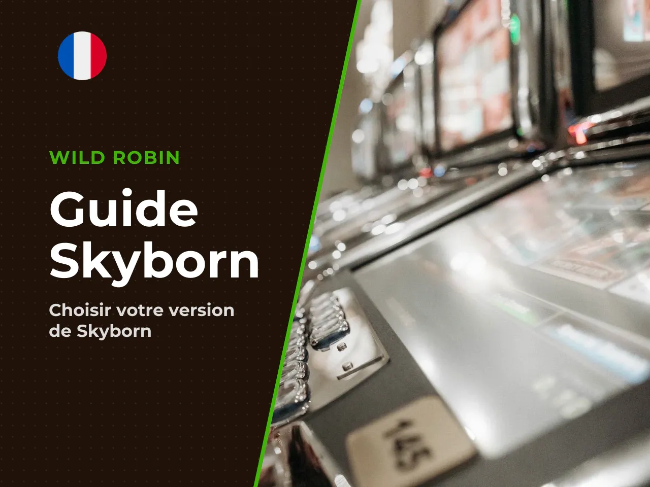 Thématique et format de jeu Skyborn