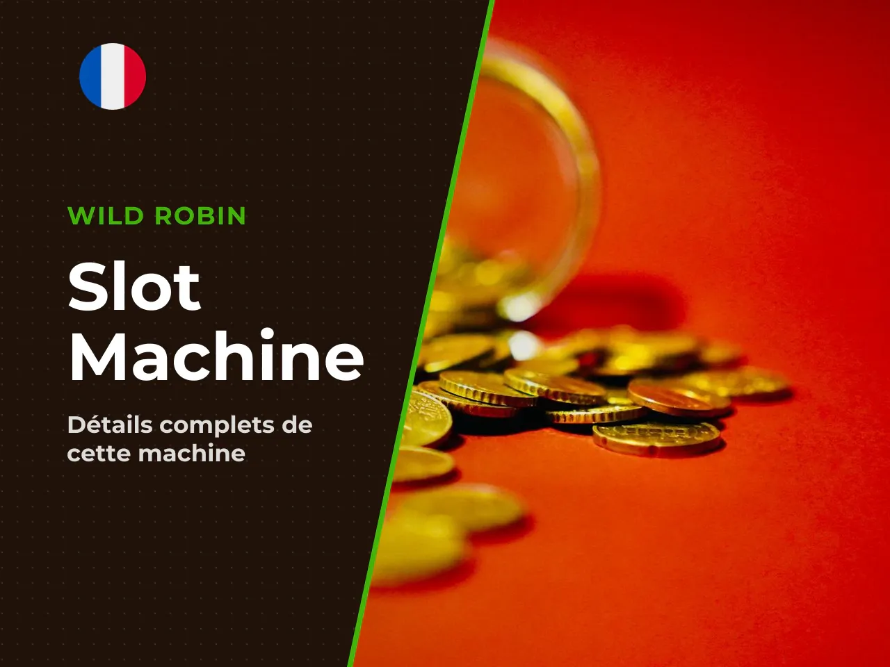 En résumé. - 20 Golden Coins