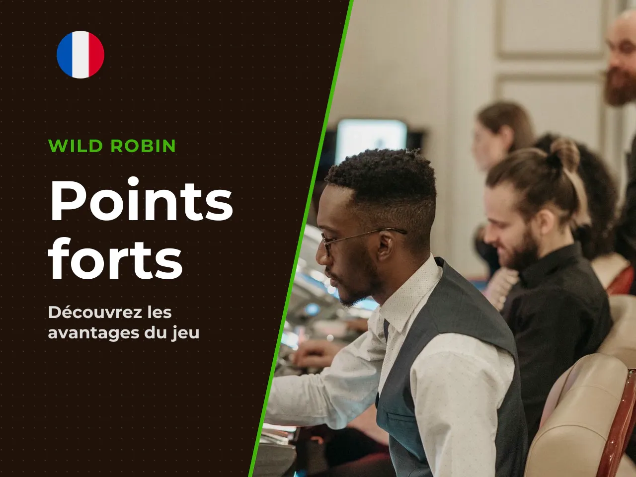 11.1. Principales appréciations dans les revues