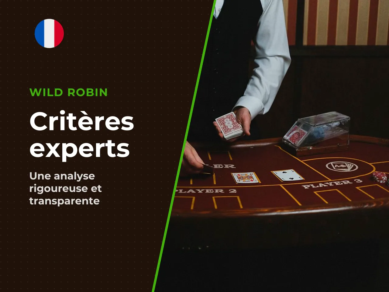 Critères d'évaluation utilisés dans nos Wild