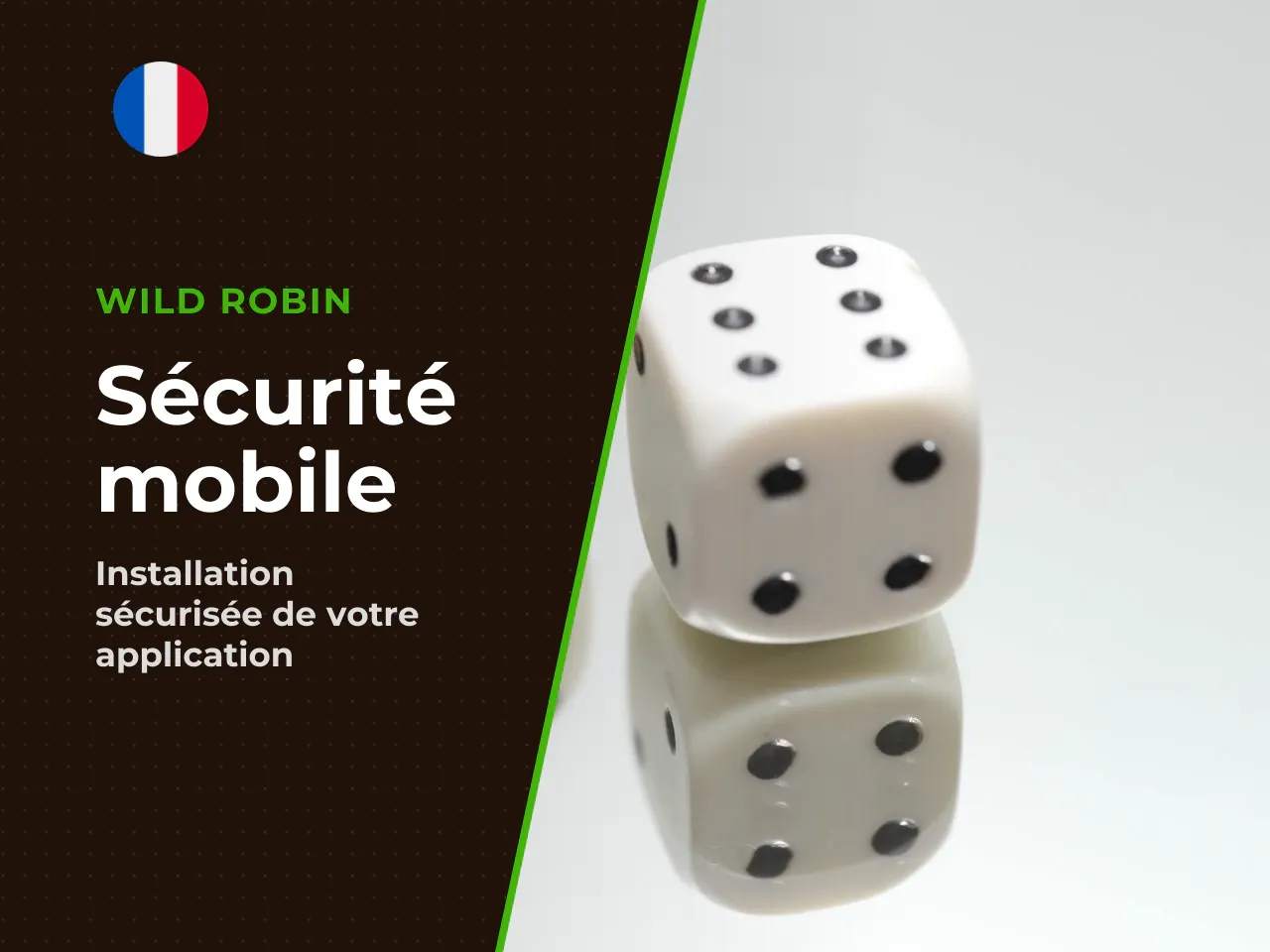 La sécurité des données personnelles et
