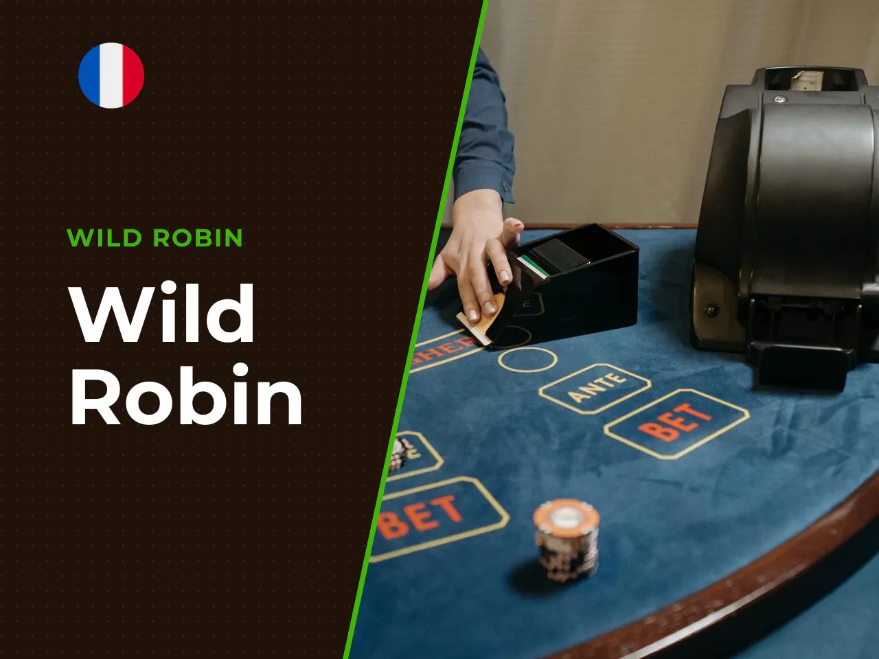 Wild Robin heading-banner