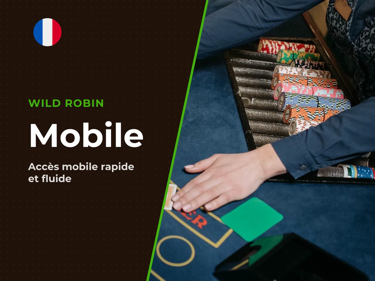 Wild Robin App présentation de l'application