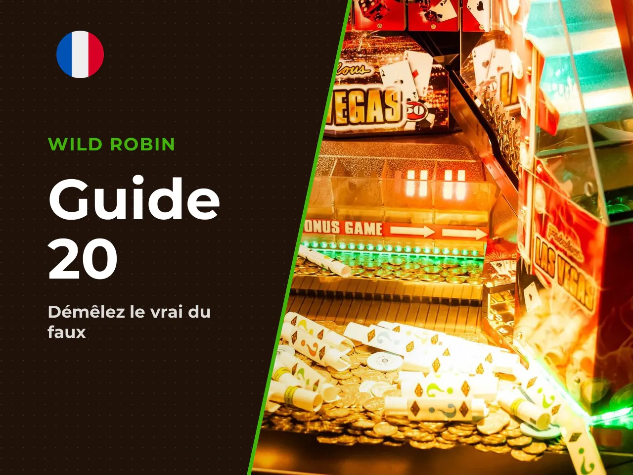 Idées reçues sur 20 Golden Coins