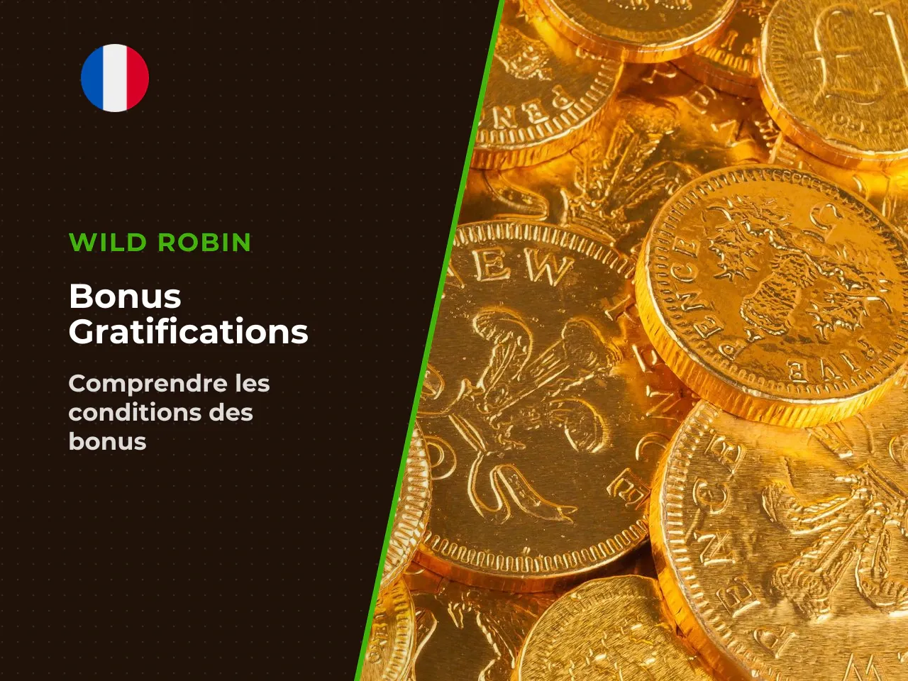 2.1. Les gratifications financières et promo