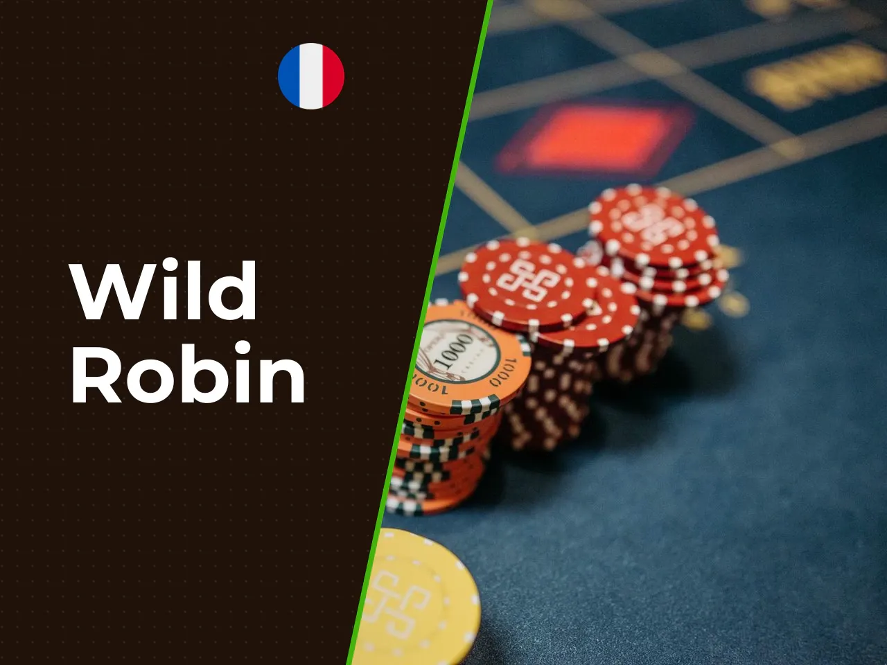 Wild Robin heading-banner