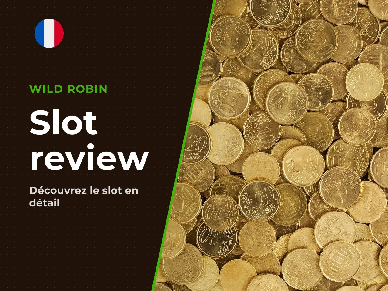 20 Golden Coins aperçu du jeu