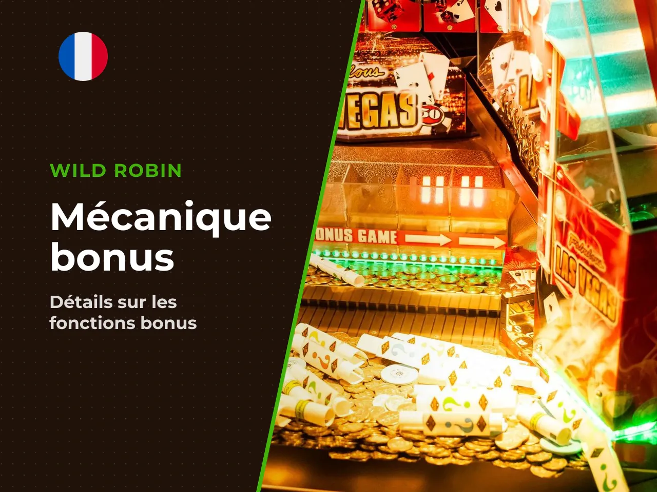 Bonus Coins, Mystery Nudge et dynamique