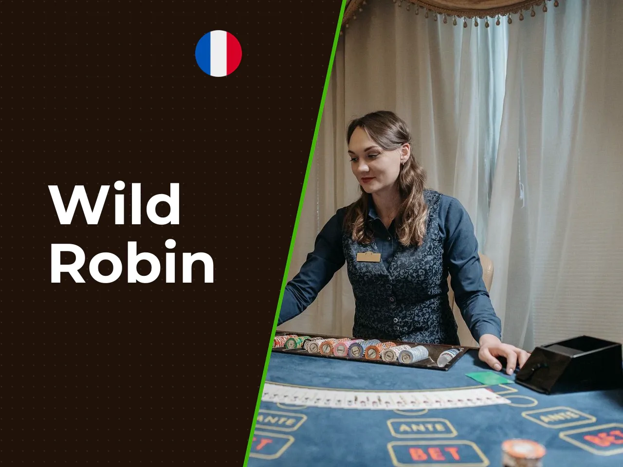 Wild Robin heading-banner