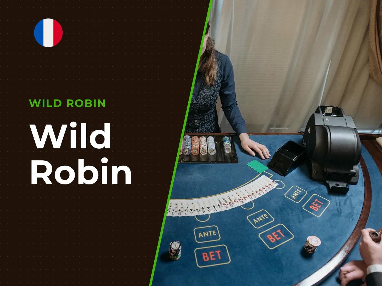 Wild Robin heading-banner