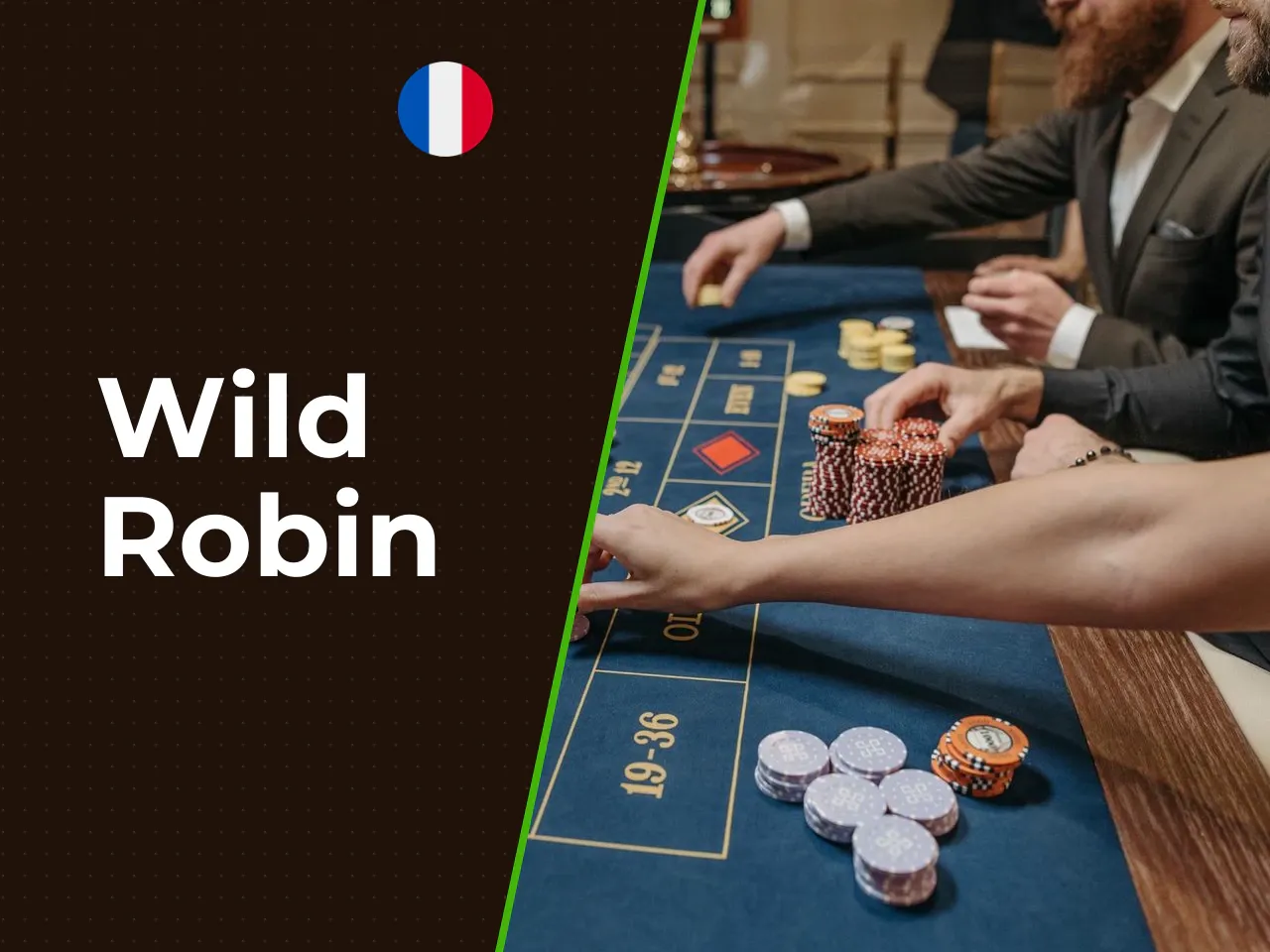Wild Robin heading-banner
