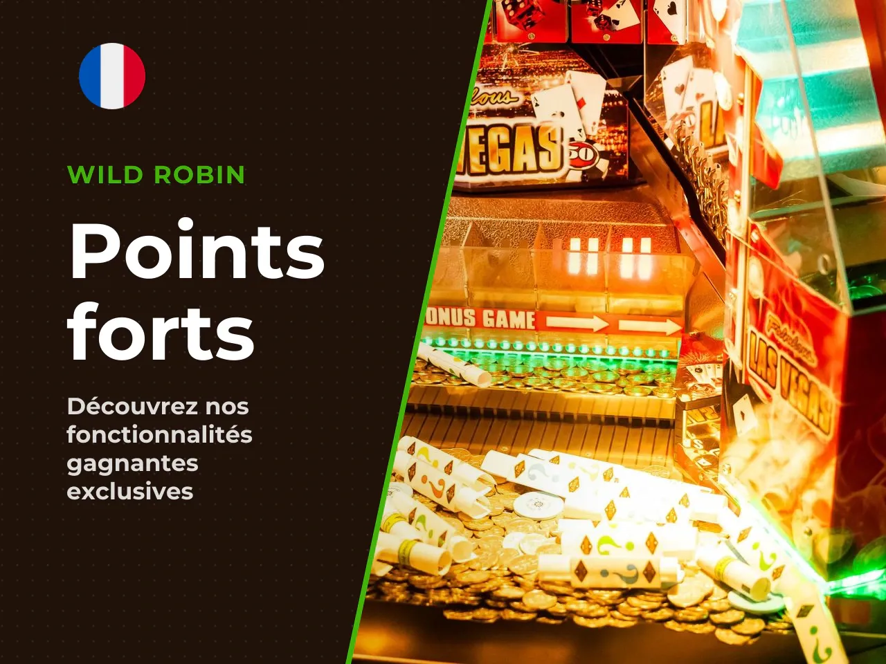 10.1 Points forts. - Mécanique Hold