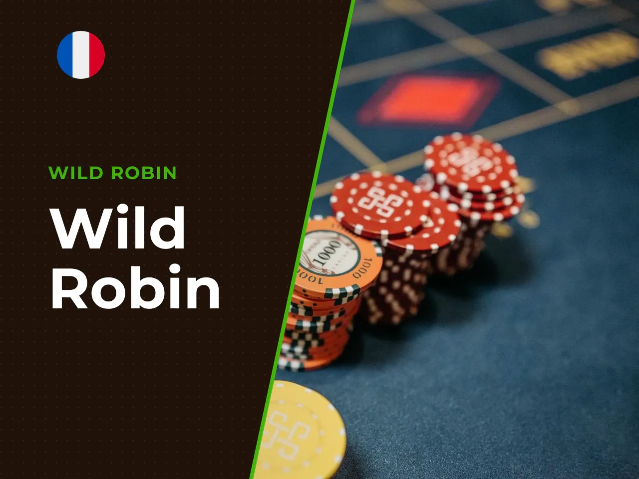 Wild Robin heading-banner